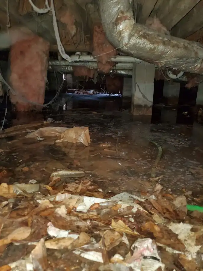 Crawl space flood assessment for Commercial Water Damage Restoration in Southaven