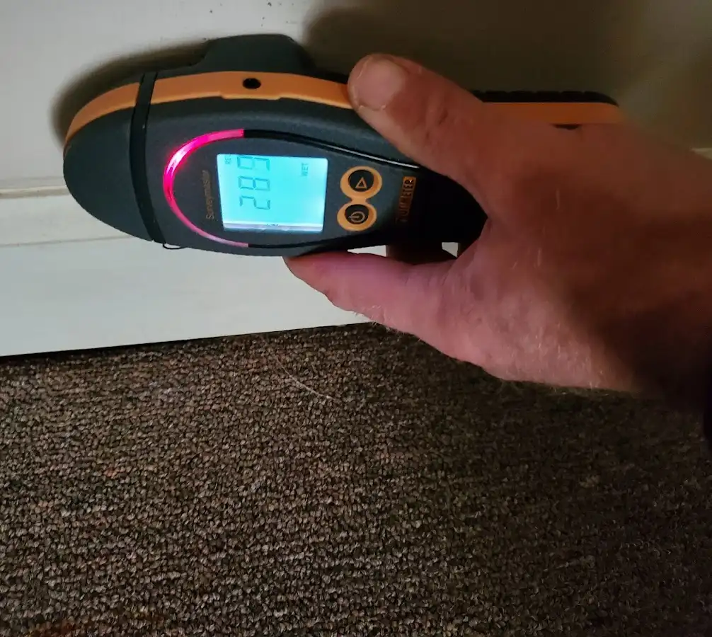 Moisture detection at baseboard during Sewage Cleanup & Sanitation in Southaven